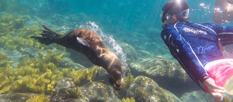 ecuador community service program