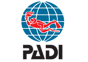 Padi Logo